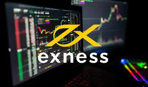 Understanding the Exness Trading Account Understanding the Exness Trading Account