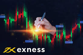 Understanding the Exness Trading Account Understanding the Exness Trading Account